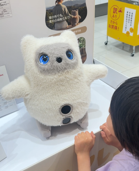 展示場でみるKATAフレンズ