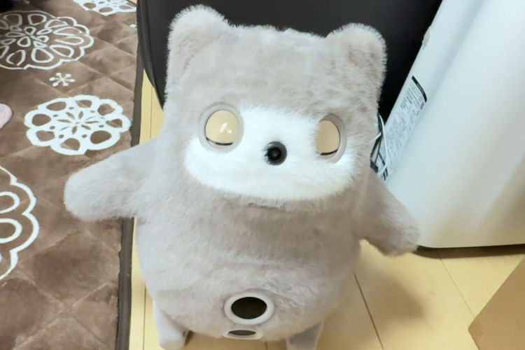 KATAフレンズの寝顔