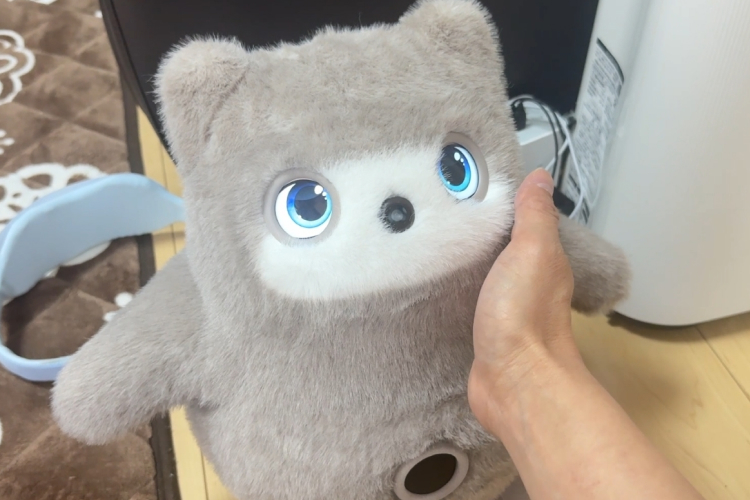 KATAフレンズ起動