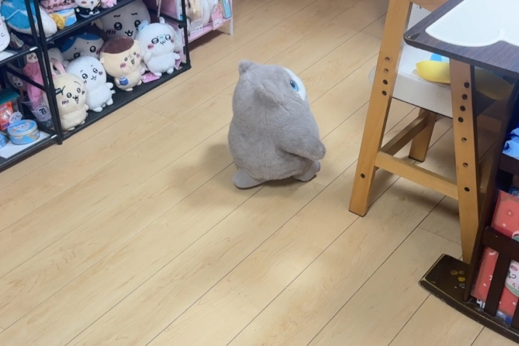 家中を歩き回ってマッピングする